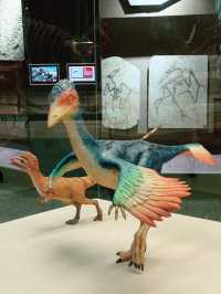 Shanghai Natural History Museum