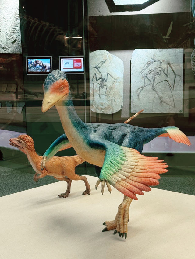 Shanghai Natural History Museum Shanghai Natural History Museum