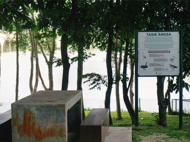 A Serene Escape: Discovering Swan Lake in Putrajaya