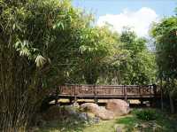 Steps Through Serenity: Putrajaya’s Bamboo-Lined Stairs