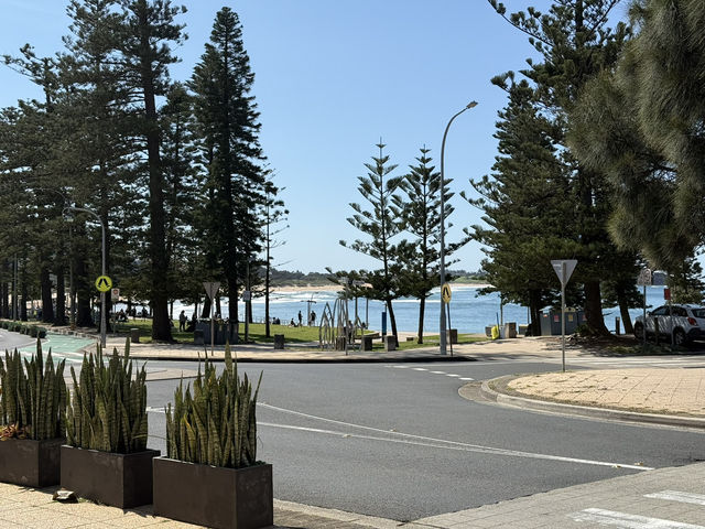 Sydney Signs Tripcom🏙️