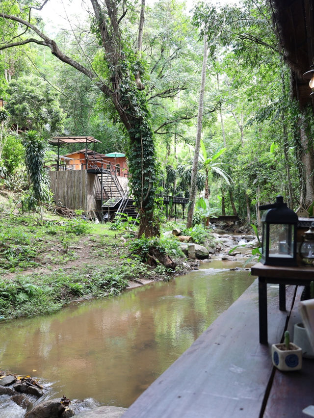 ⭐ บ้านธารชีวี – เชียงดาว จ.เชียงใหม่ ⭐ บ้านธารชีวี – เชียงดาว จ.เชียงใหม่