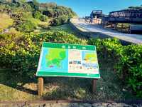 🎄 Festive Escape: Relax at Cat Nose Head