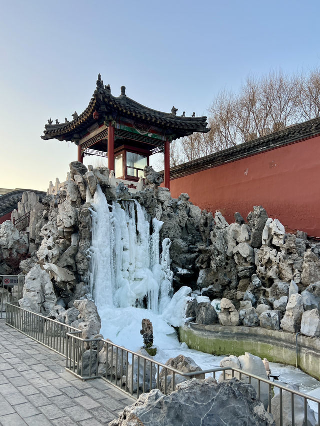 🇨🇳선양 필수 관광명소 선양고궁 방문 꿀팁