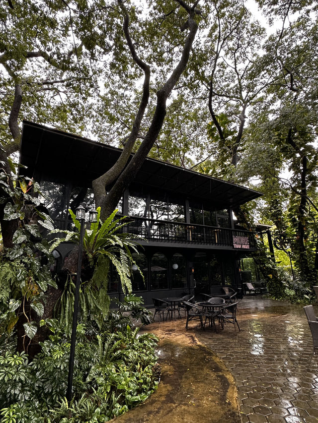 Rainforest Escape🌴 Rainforest Escape🌴