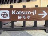 勝尾寺 応頂山 勝尾寺