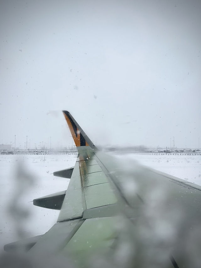 用雙眼、雙腳走進北海道的雪白世界裡