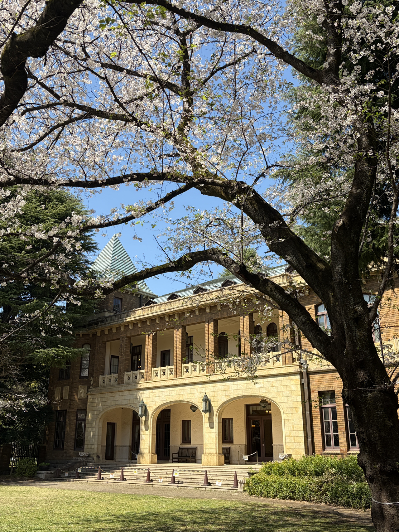 🇯🇵 I can't believe a place like this exists in Tokyo..💗 Hands down the best part of my trip🏛️
It’s a beloved cherry blossom picnic spot for Tokyo locals,
making it a truly special experience.
It was so breathtaking, it felt like I was living in a dream for a moment..🌸
Location: Former Marquis Maeda House Western Style Mansion / Meguro City Komaba Park
The cherry blossom picnic area is right in front of the mansion, which was just perfect!!
🎀 4 Chome-3-55 Komaba, Meguro City, Tokyo 153-0041
🎀 〒153-0041 東京都目黒区駒場4丁目3−55
Admission - Free
Pro tip - Picnics are allowed, so make sure to bring a mat & some snacks!
The highlight of my Tokyo journey so far
A timeless English-style mansion nestled within Tokyo’s favorite hidden cherry blossom picnic spot. It’s a rare sanctuary where classic architecture meets the softest petals of spring