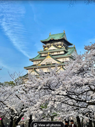 2 Days in Osaka: Food, Neon Lights and Classic Kansai Charm