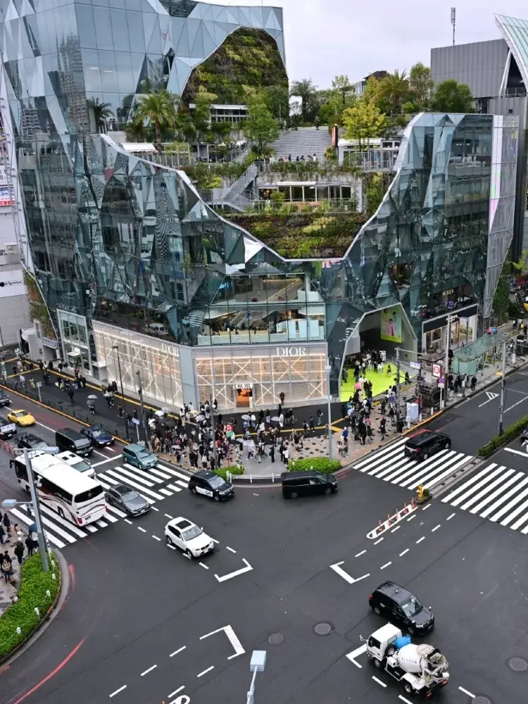 🇯🇵東京初心者ガイド！地下鉄を楽々乗りこなす：観光スポット、レストラン、ショッピング。