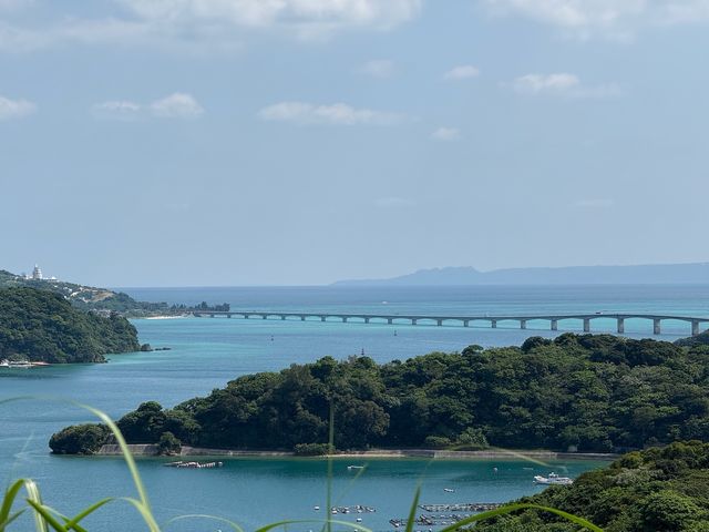 沖繩chill爆餐廳推介🍽️🍵