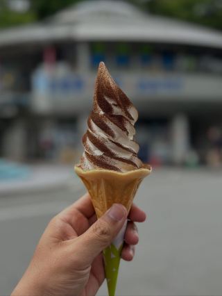 [Nara] Do good sweets taste bitter? Soft serve ice cream made with the traditional medicine 'Daranisuke'.
