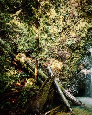 USA North Carolina Dry Falls Mossy Cullasaja Gorge Stop