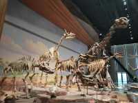 🦕 Baoding Natural History Museum | Bigger, Better, and Worth the Journey