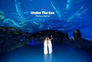 โซนใหม่ 🐠𝗨𝗻𝗱𝗲𝗿 𝗧𝗵𝗲 𝗦𝗲𝗮 ที่ 𝗗𝗿𝗲𝗮𝗺 𝗪𝗼𝗿𝗹𝗱 ไปตะลุยโลกใต้น้ำ เสมือนจริงกัน

เปิดแล้วโซนใหม่ที่ดรีมเวิลด์ 𝗨𝗻𝗱𝗲𝗿 𝗧𝗵𝗲 𝗦𝗲𝗮“โลกใต้ทะเลจำลอง เสมือนจริง”ที่จะพาทุกครอบครัวสนุกสนาน เพลิดเพลิน เหมือนเดินอยู่ใต้ท้องมหาสมุทร ตื่นตากับสัตว์ทะเลน้อยใหญ่นานาชนิดกว่า 100 สายพันธุ์ ท่ามกลางบรรยากาศมหัศจรรย์ของใต้ท้องทะเล

ภายในประกอบไปด้วย 3 โซนหลัก  ได้แก่
     𝟭.  𝗚𝗹𝗼𝘄𝗶𝗻𝗴 𝗙𝗶𝘀𝗵𝗲𝘀 
▪ พบความสวยงามของแมงกระพรุนหลากสี   
▪ ศิลปะปลาเรืองแสงบนผนัง ที่เต็มไปด้วยสีสันสดใส 
 
     𝟮. 𝗢𝗰𝗲𝗮𝗻 𝗭𝗼𝗻𝗲 
    ▪ ท้องทะเลใหญ่ โลกใต้ทะเลจำลอง เสมือนจริง  ที่จะพาผู้ชมดำดิ่งลงไปยังโลกใต้ทะเลลึก เผชิญหน้ากับฝูงปลาและสัตว์ทะเลนานาชนิด ได้แก่ ฉลามวาฬ วาฬบลูด้า วาฬออก้าหรือวาฬเพชฌฆาต ฉลามขาว ฉลามหัวค้อน  ฉลามฟันเลื่อย ฉลามหางยาว  กระเบนราหู กระเบนนก  เต่ามะเฟือง เต่าตนุ และอื่นๆ อีกมากมาย 
    ▪ ถ้ำใต้ทะเล  ร่วมสำรวจความมหัศจรรย์ ชมความสวยงามของปะการัง ที่เป็นที่อาศัยของบรรดาสัตว์ทะเลสุดแปลก อาทิ ปลาไหลริบบิ้น หมึกแวมไพร์ มังกรทะเลใบไม้  ตั๊กแตนเจ็ดสี และปลาดึกดำบรรพ์ใกล้สูญพันธุ์ อย่างปลาฟรินช์เฮด ปลาปีศาจครีบพัด ปลาแองเกลอร์ หรือปลาตกเบ็ด ฯลฯ

     𝟯. 𝗪𝗮𝘃𝗲 𝗦𝗮𝗻𝗱 𝗣𝗵𝗼𝘁𝗼 𝗦𝗽𝗼𝘁 โซนที่สายคอนเทนต์ต้องห้ามพลาด สนุกสนานกับคลื่นยักษ์  เพลิดเพลินกับมุมถ่ายรูปเก๋ๆ ที่อยู่ภายในโซน ได้ภาพ ได้คลิป แชร์ลงโซเชียลเพียบ

ราคาโซนนี้รวมอยู่ในค่าตั๋วที่รวมเครื่องเล่นแล้ว  ไม่ต้องจ่ายเพิ่มแต่อย่างใด จากทางเข้าอยู่ทางขวามือเลย ต้องไปลองของใหม่กันให้ได้นะ

📍ราคาบัตรบัตรเข้าสวนสนุก
บัตรรวมเครื่องเล่น คนละ 680.- 

ข้อมูลเพิ่มเติมสวนสนุกดรีมเวิลด์ Dream World

 #โลกใต้ทะเลจำลองเสมือนจริงนจริง #UnderTheSeaDreamworldd #สวนสนุกดรีมเวิลด์ #เครื่องเล่นใหม่ดรีมเวิลด์วิลด์ #ที่เที่ยวใกล้กรุงเทพ #เที่ยวสวนสนุก 