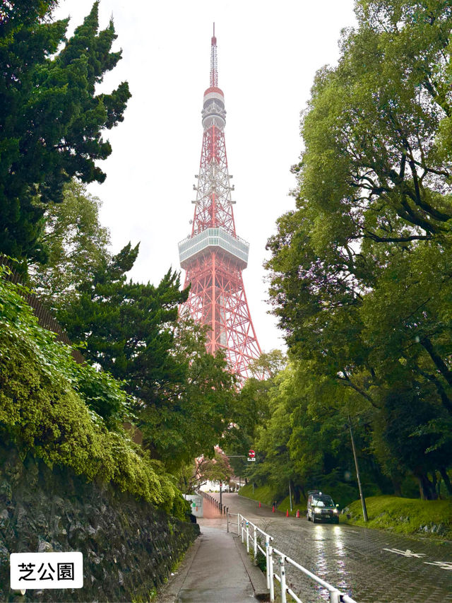 🗼日本東京 「膠囊旅館住宿體驗」