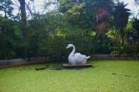 Singapore City Break: Finding a Peaceful Escape at Victoria Lily Pond