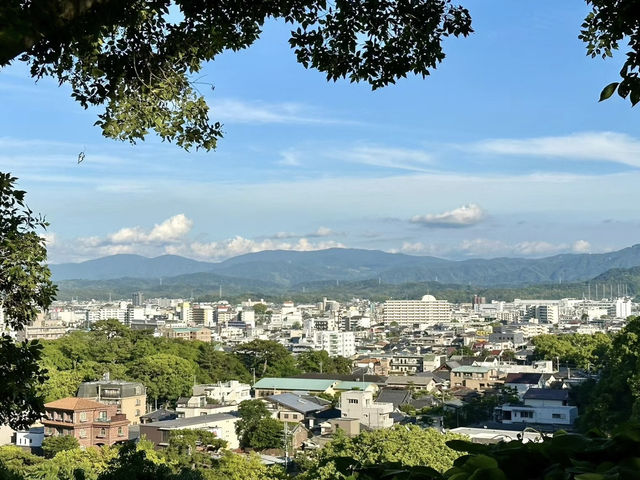 歷史與四季之美交織——和歌山城的古韻之旅