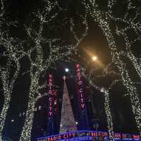 New York Adventures: Uncovering the City That Never Sleeps