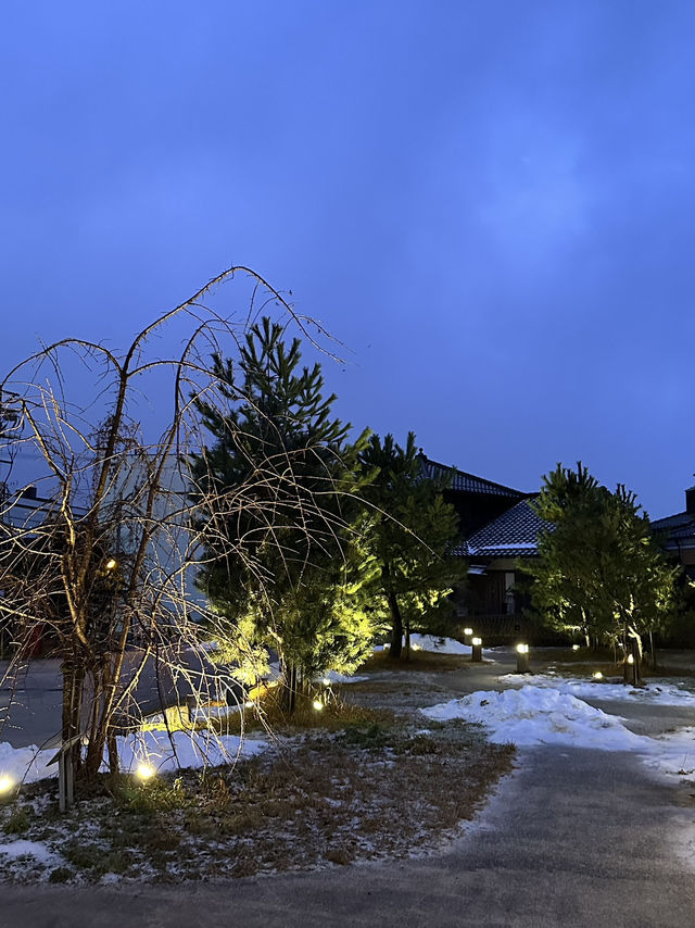 Discovering the Beauty of Amanohashidate and Ine Funaya: Japan’s Scenic Wonders