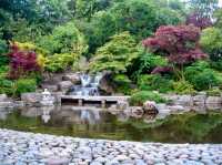 From Gardens to Wildlife: Holland Park Awaits
