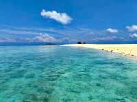 Amazing Timba Timba Island