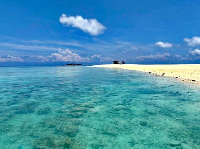 Amazing Timba Timba Island