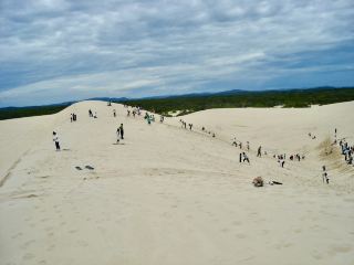 Port Stephens: Double the Fun with Sandboarding and Dolphin Watching