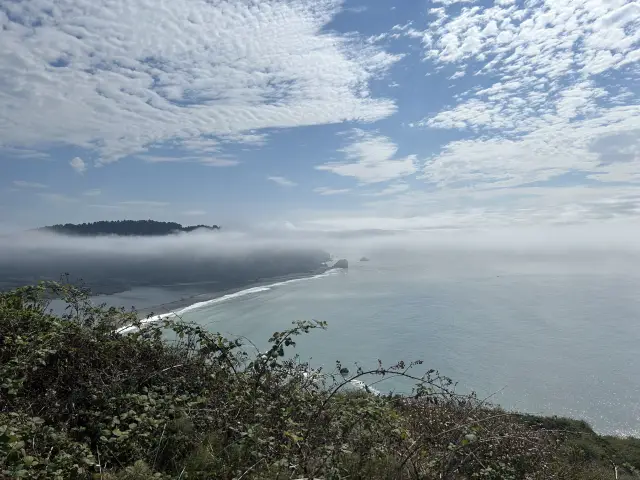 Redwood National Park 