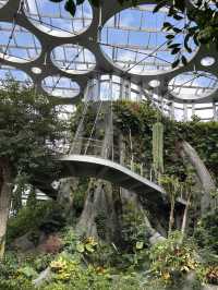 Shanghai Greenhouse Garden