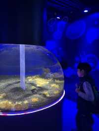 遊覽大笨鐘倫敦眼海洋館行程