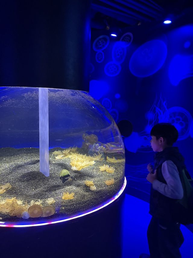 遊覽大笨鐘倫敦眼海洋館行程