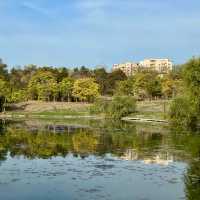 Morning Magic in Tineretului Park