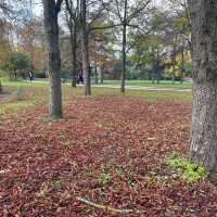 The Bois de Vincennes🍁Paris in Autumn 