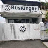 馬六甲Husky天堂 | 盡情享受被哈士奇們包圍吧！
