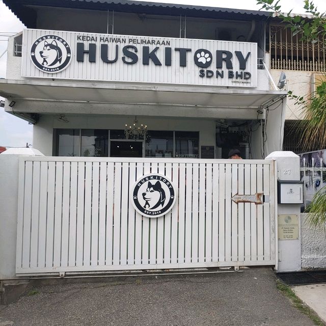馬六甲Husky天堂 | 盡情享受被哈士奇們包圍吧！