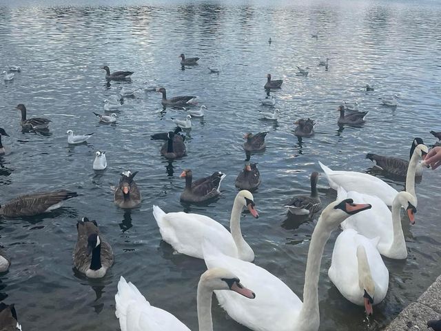 Kensington Gardens London 🇬🇧