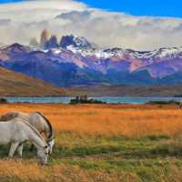 Torres del Paine, Chile