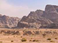 The Stunning Backdoor Hike in Petra