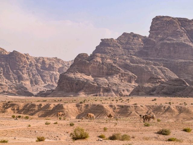 The Stunning Backdoor Hike in Petra