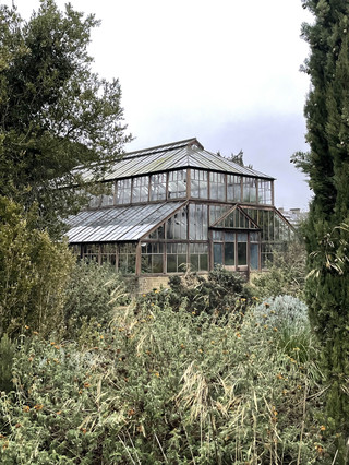 Find these underrated gardens in Cambridge!