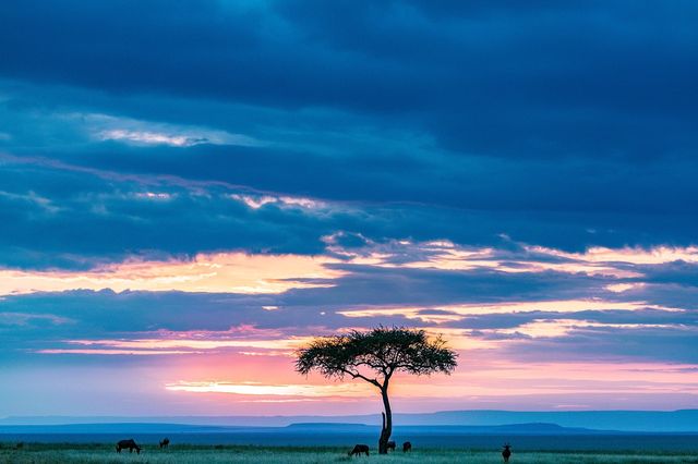 8 Days Classic Kenya Safari Experience 