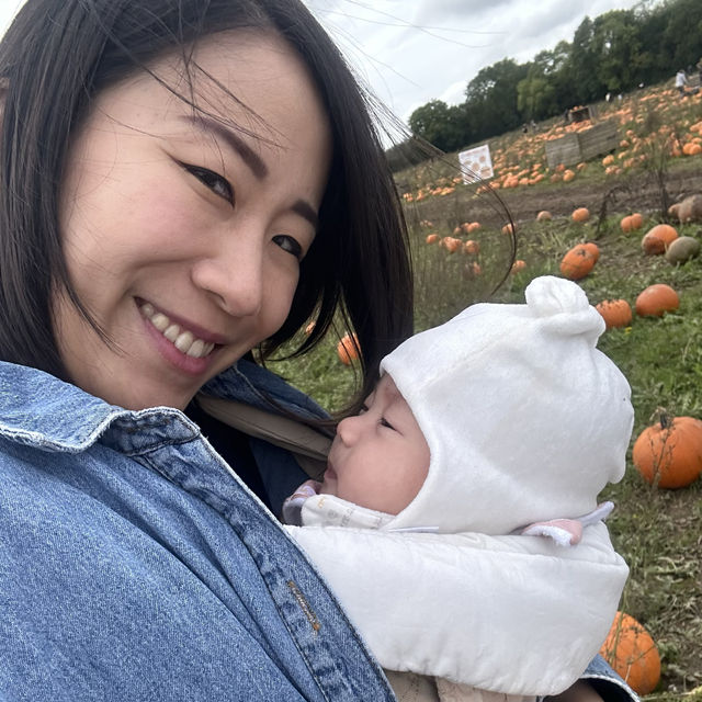 Pumpkin picking