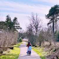 "Eindhoven: A Foreigner’s Paradise in the Netherlands"