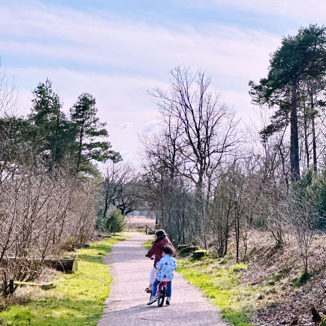 "Eindhoven: A Foreigner’s Paradise in the Netherlands"