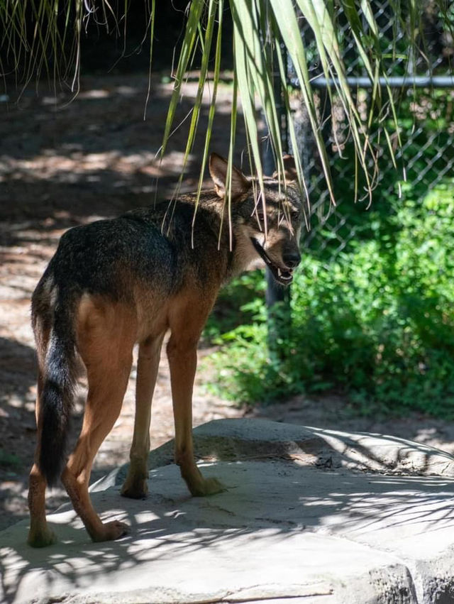 ZooTampa at Lowry Park 🇺🇸 ZooTampa at Lowry Park 🇺🇸