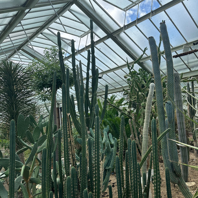 發掘瀕臨絕種稀有植物 倫敦親子一日遊