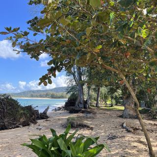 ALOHA! HAWAII- WELCOME TO PARADISE !