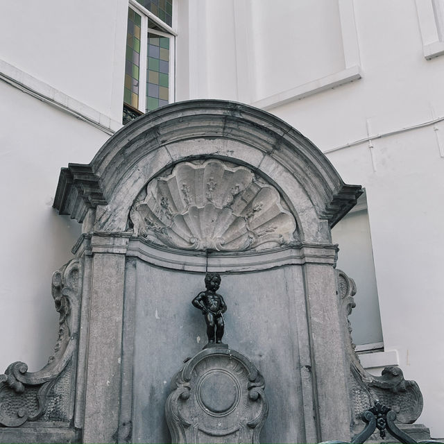 Brussels Unveiled: A European Delight