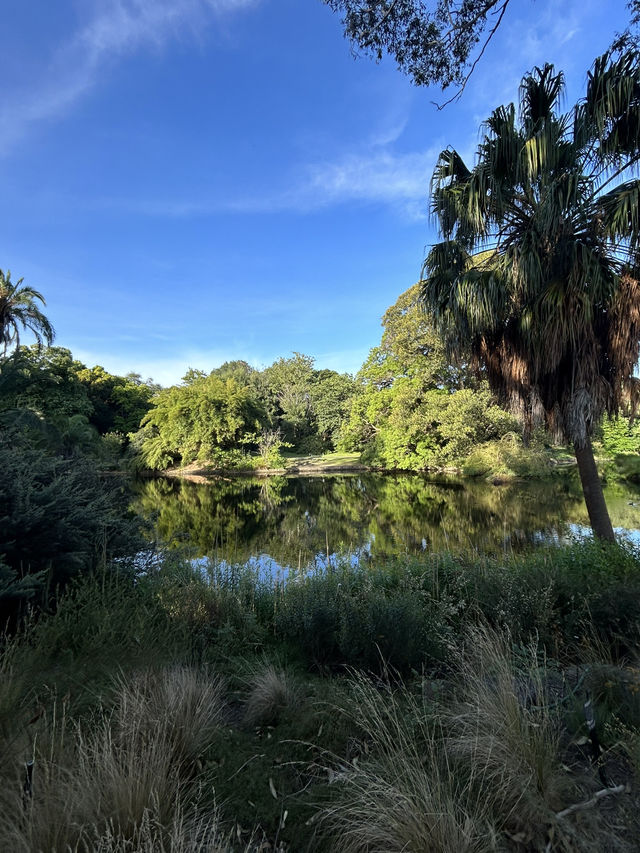 🌿 Serenity & Reflection: Royal Botanic Gardens & Shrine of Remembrance